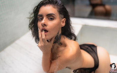 Adriella Stormovski top pornstar gallery