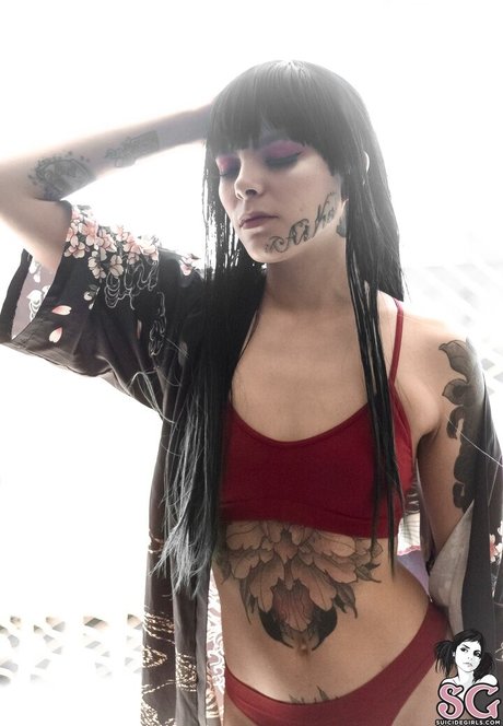 Tinta Nankin free star gallery