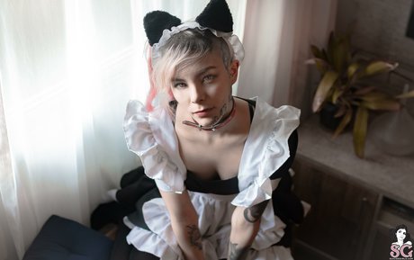 Tinta Nankin sex pornstar image