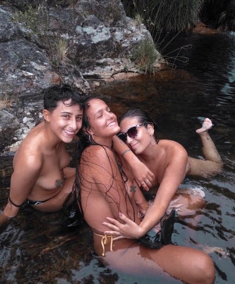 Laubrasil model top img