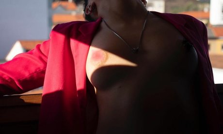 Laubrasil star art picture