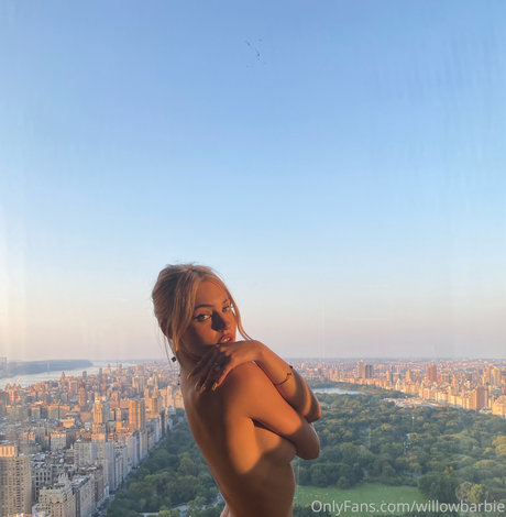 Willow Barbie sexy pornstar image