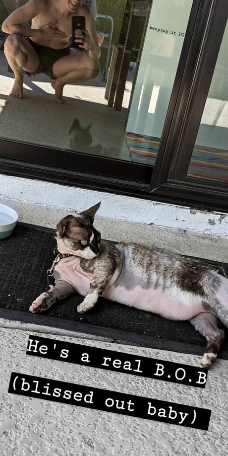 Hannah Hart pretty pornstar archive