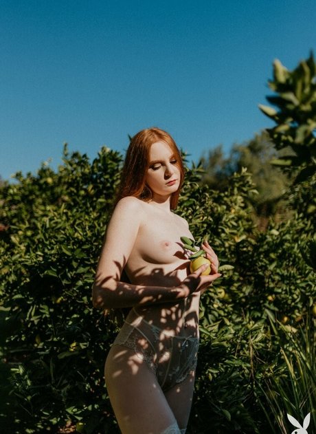 ebony mom onlyfans beautiful pictures