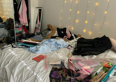 collzorgs beautiful pornstar gallery