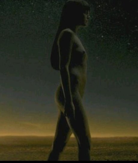 Malin Akerman nude actress img