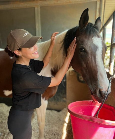 Lucy Hale star xxx archive