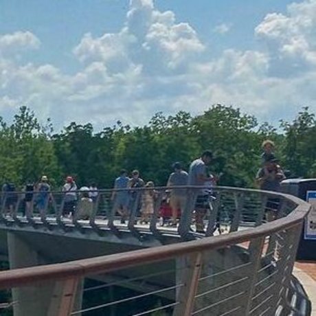 Laney Baby model perfect gallery