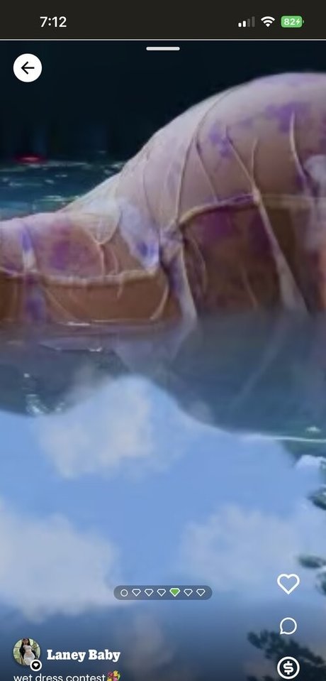 Laney Baby best model gallery