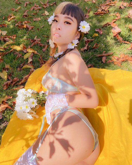 Dxgxmii model art picture