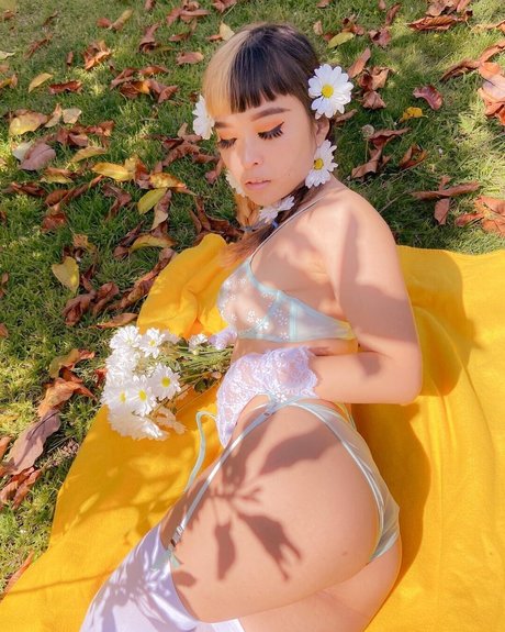 Dxgxmii hd star pictures