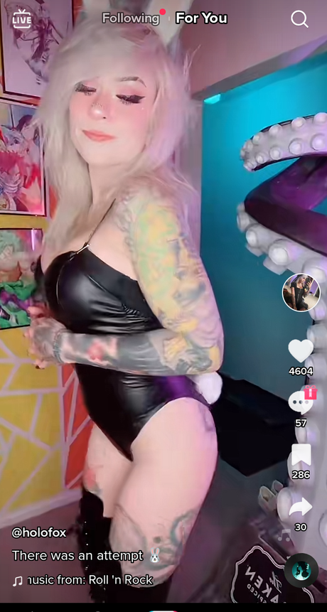 Holofox_ star adult picture