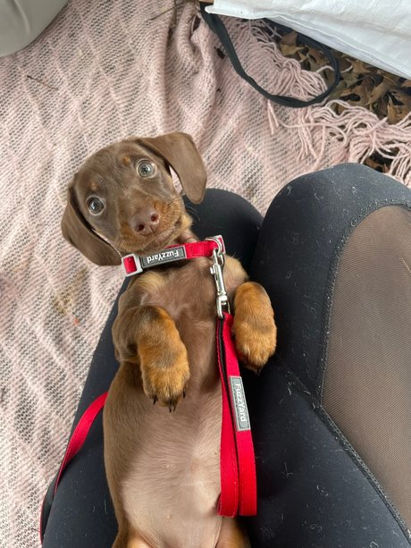 Alliyah star high quality archive