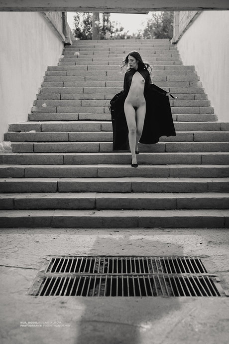 Elis art star photos