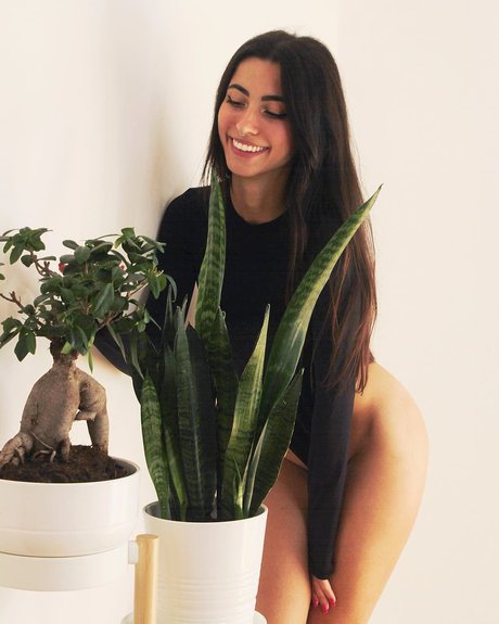 Lucrelisa_ star beautiful archive