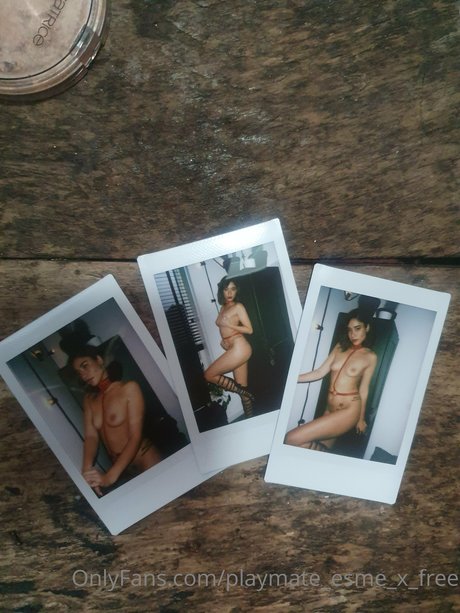 Playmate Esme_ pornstar adult photos