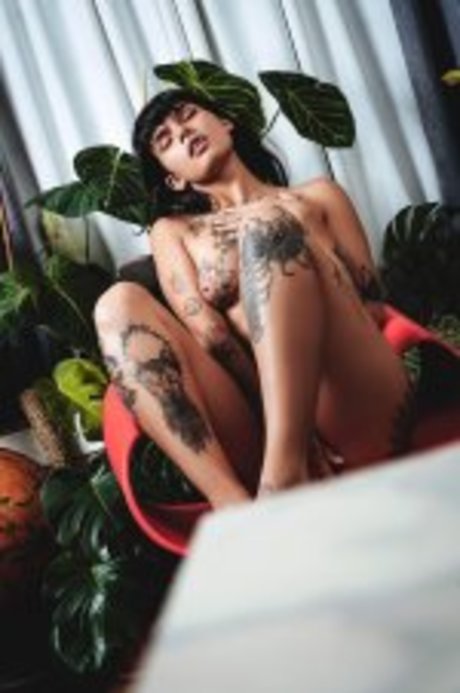 Dakota Wilder free pornstar pic