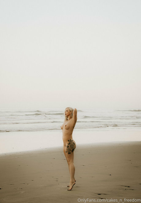 Cakes n Freedom model galleries