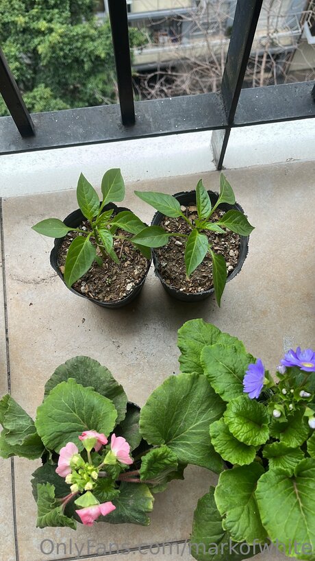 Markofwhite model free pics