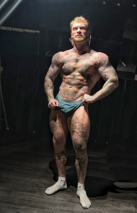 Therealvanillagorilla pornographic model img