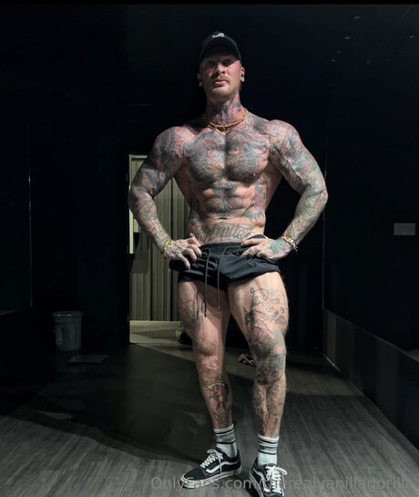 Therealvanillagorilla art actress image