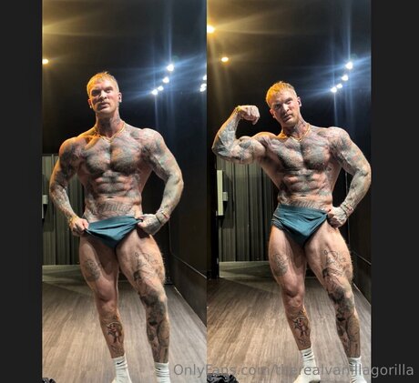 Therealvanillagorilla pretty star picture