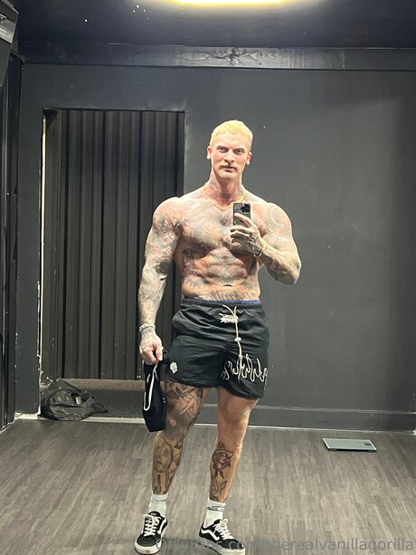 Therealvanillagorilla nude pornstar picture