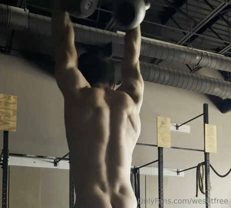 Wesfitfree adult star photos