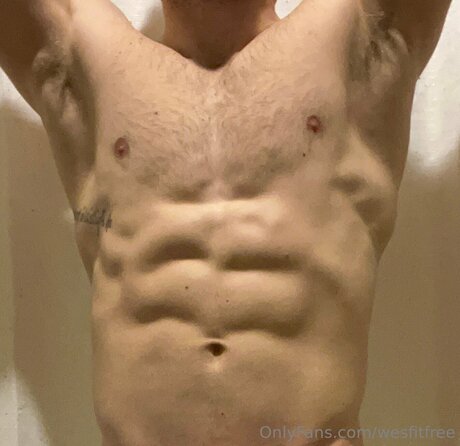 Wesfitfree hot pornstar image