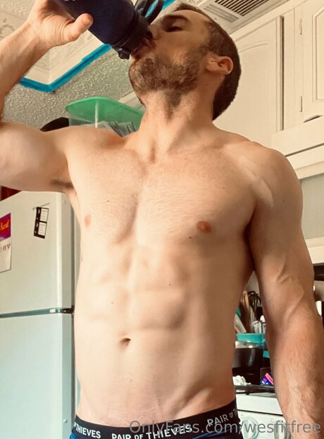 Wesfitfree nice star archive