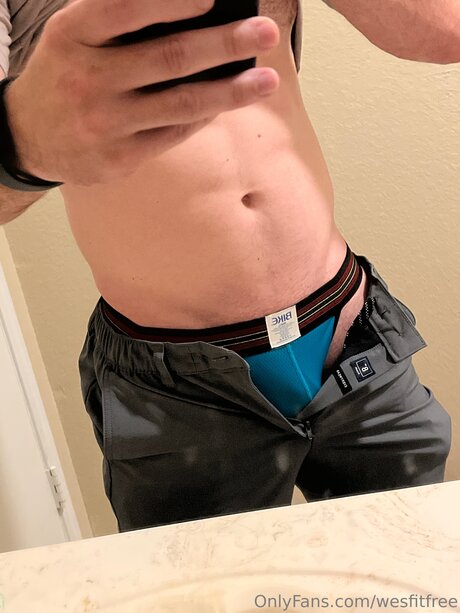 Wesfitfree nude actress photos