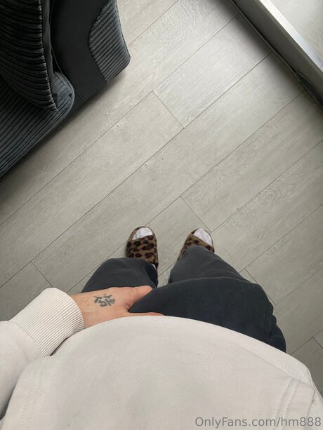 Hm888 star perfect galleries