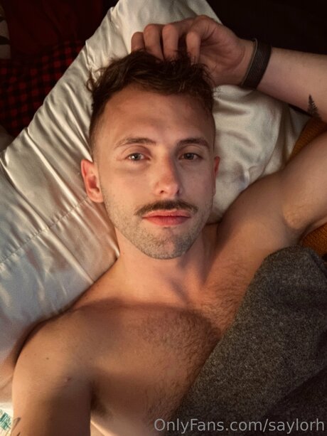 Saylorh star adult pictures