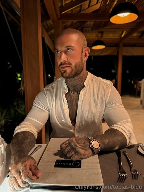 Tobias Bleu art actress images