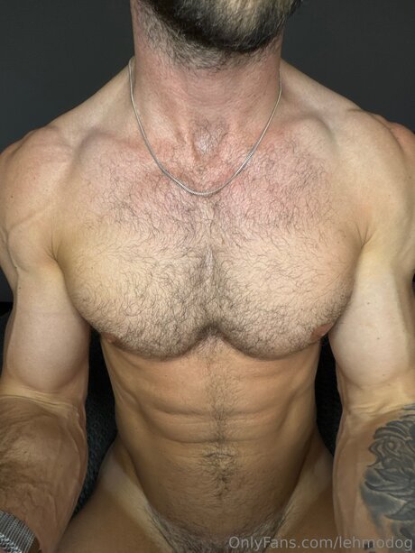 Lehmodog nice star galleries