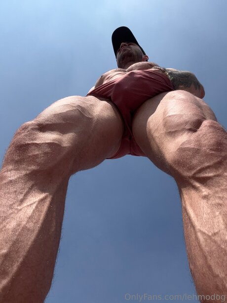 Lehmodog sexy star photo