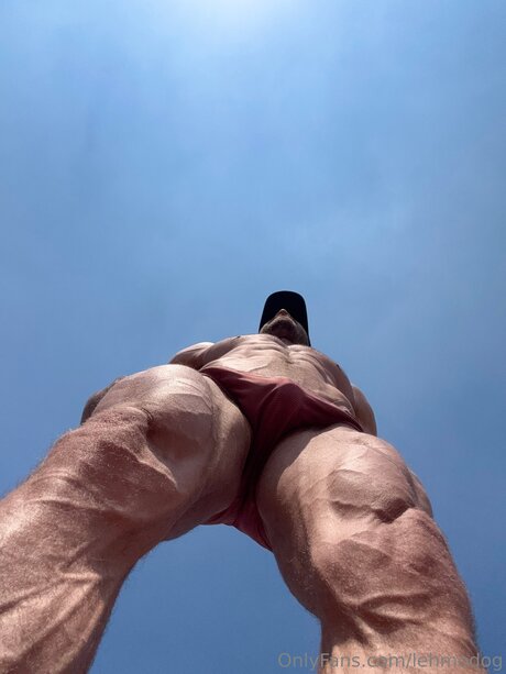 Lehmodog pornstar nudes photo