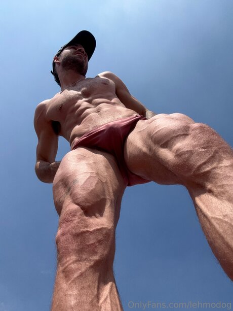 Lehmodog exclusive model photos