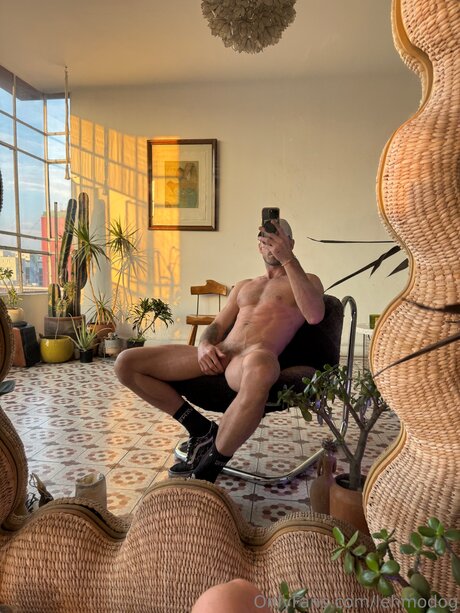 Lehmodog pretty model photos