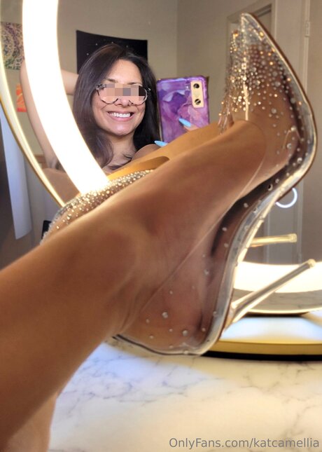 Katcamellia nice star pictures