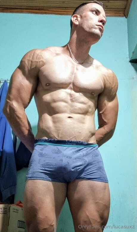 Lucasuxz pornographic actress img