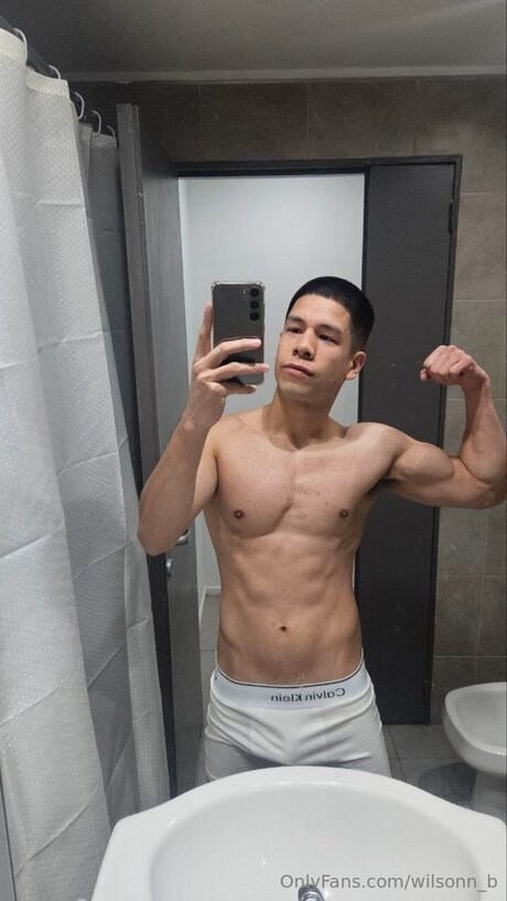 Wilsonn B model high quality img