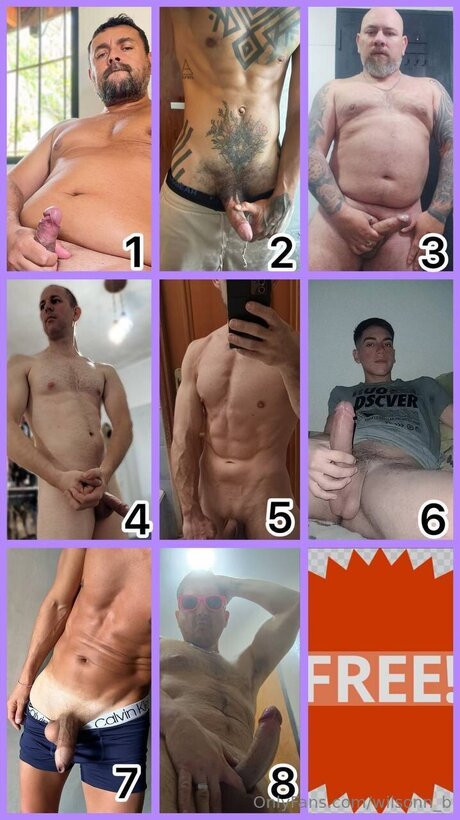 Wilsonn B perfect model archive