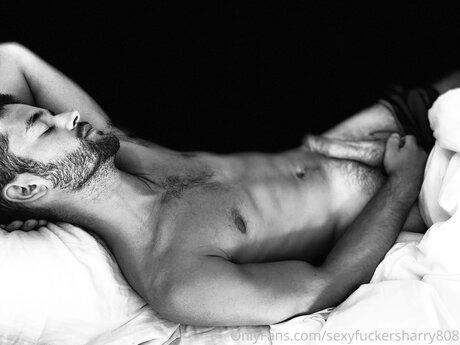 Justharry808 adult star picture