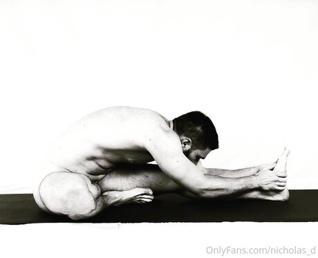 Nicholas D pornstar high quality img