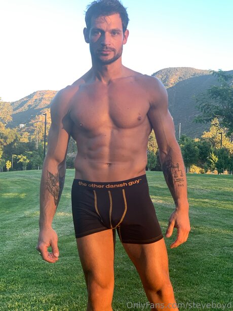 Steveboyd beautiful star galleries