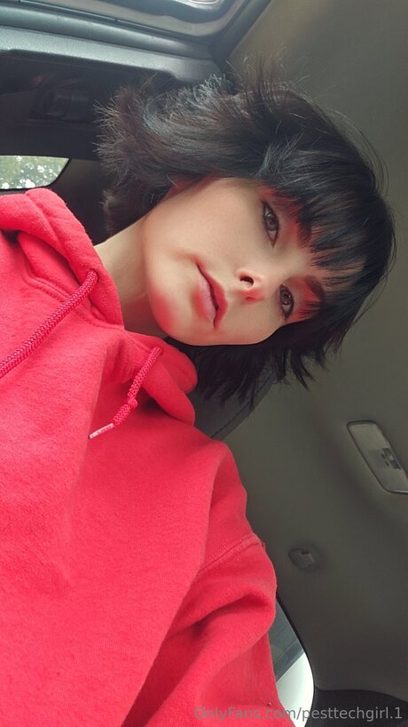 Pesttechgirl 1 porn model picture