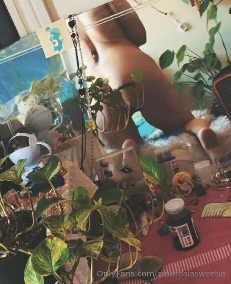 Ambrosiasweetie star erotic pic