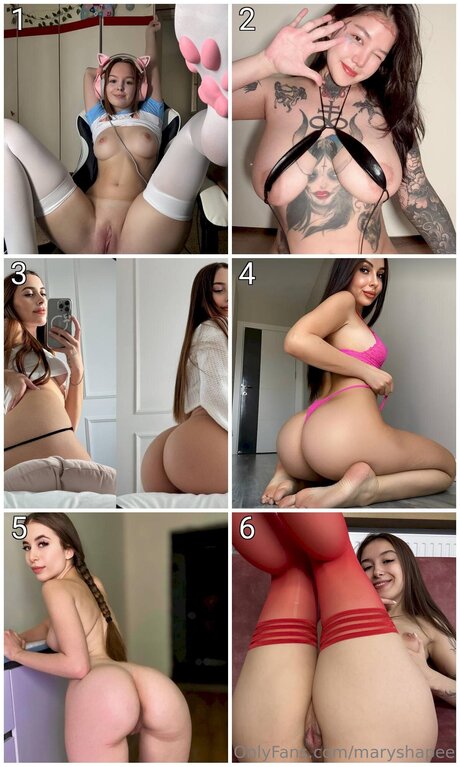 Maryshapee high quality star archive