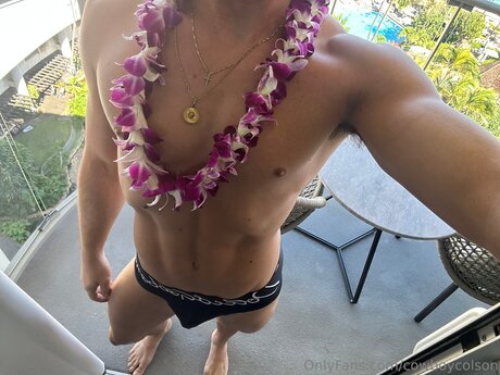 Cowboycolson model art galleries